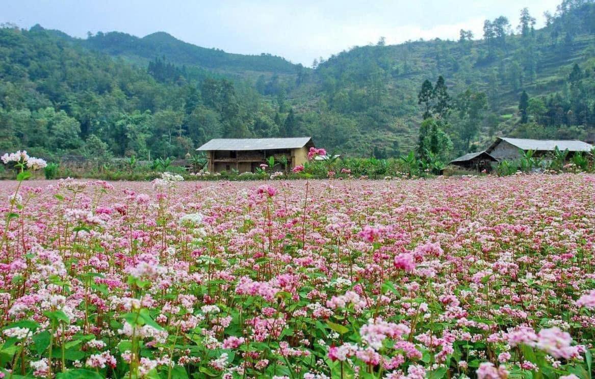 Thuy Anh Hotel ห่าซาง ภายนอก รูปภาพ